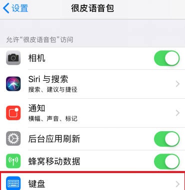键盘语音怎么弄苹果版(iphone键盘的语音输入怎么开)-第2张图片-亚星国际官网