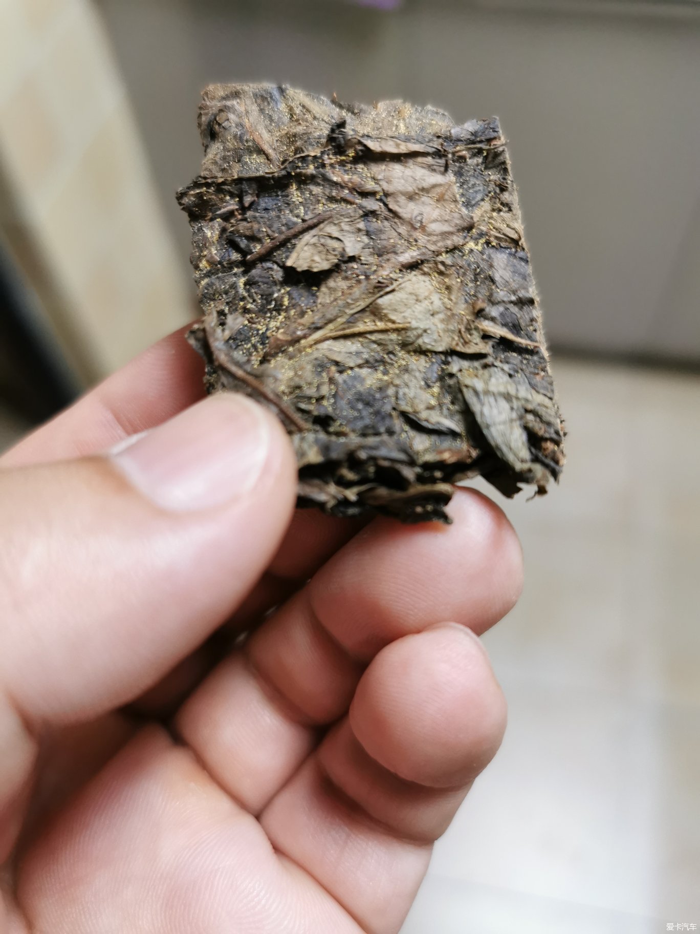 黑茶手机版(黑茶网站)-第2张图片-亚星国际官网