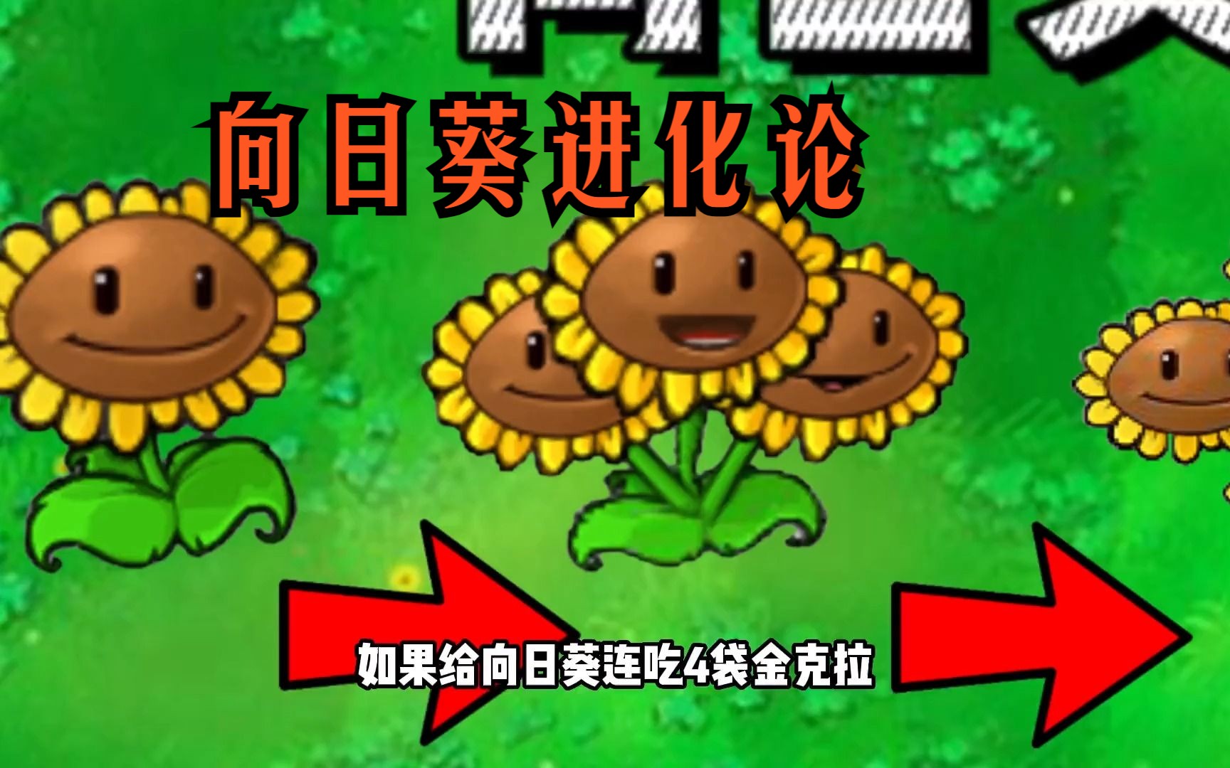 植物大战僵尸金克拉苹果版(植物大战僵尸金柯拉版)-第2张图片-亚星国际官网