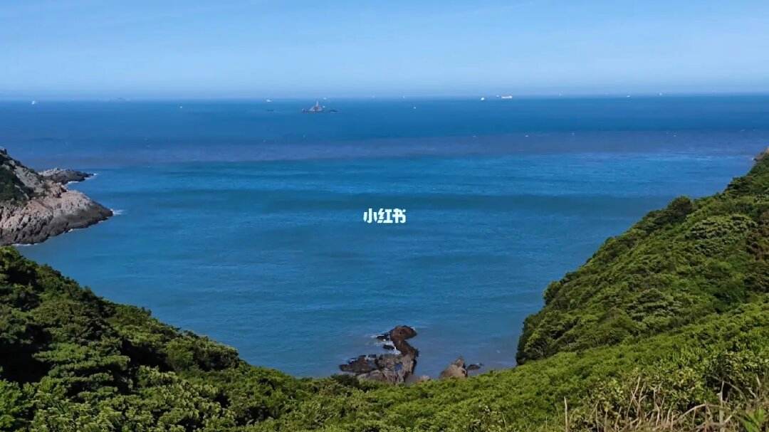 大舟山手机版(大舟山论坛社区)-第2张图片-亚星国际官网