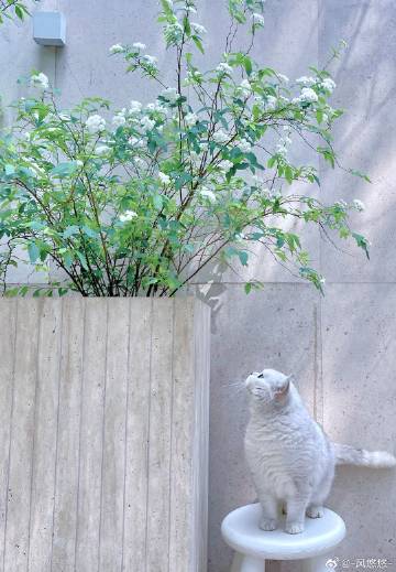 猛虎客户端污版本猛虎APP免费安装-第2张图片-亚星国际官网
