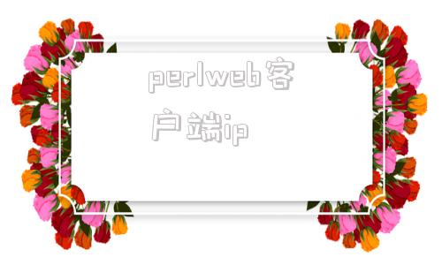 perlweb客户端ippaperpass查重入口