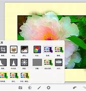 photoviva中文版安卓photoviva安卓最新版下载-第2张图片-亚星国际官网