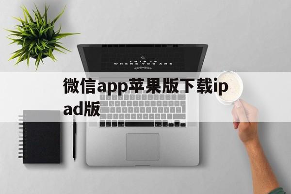 微信app苹果版下载ipad版(微信下载平果版)-第2张图片-有道翻译官网