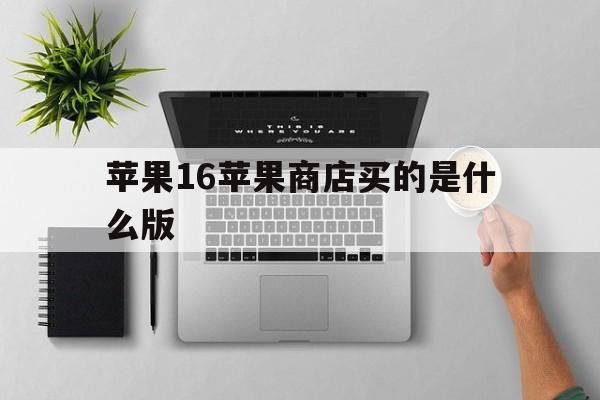 苹果16苹果商店买的是什么版(apple 16)-第4张图片-有道翻译官网
