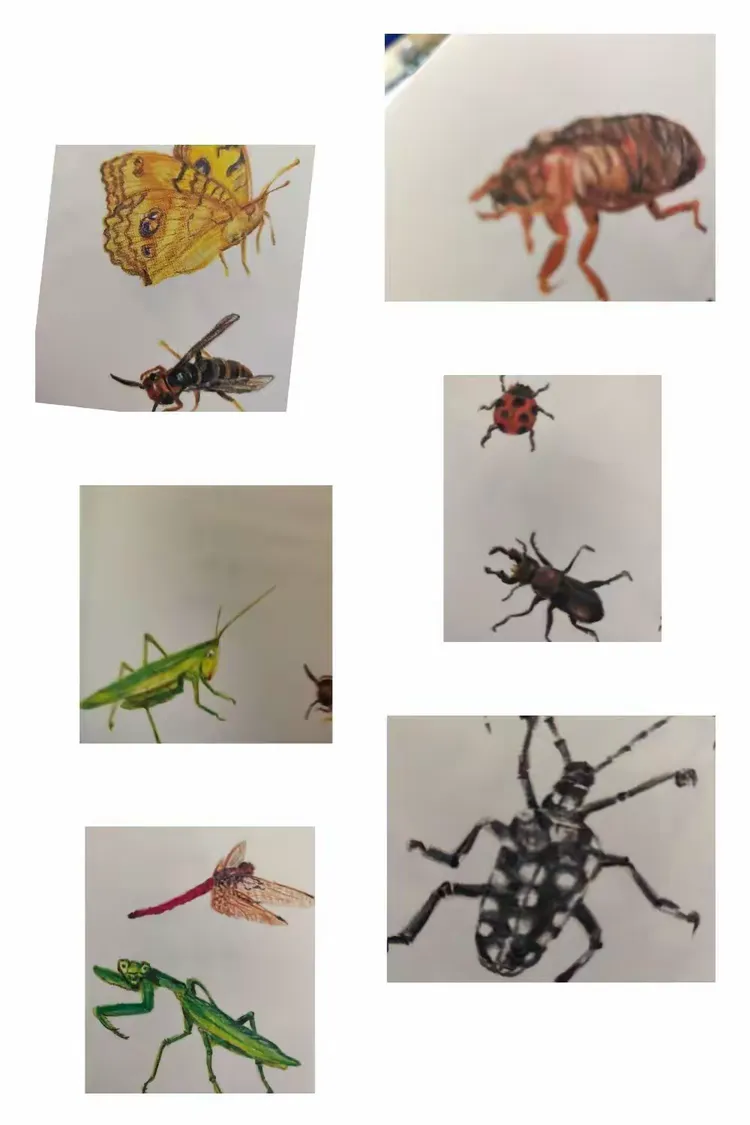 蜜蜂追书苹果版破解版(蜜蜂追书破解版吾爱破解)-第7张图片-有道翻译官网