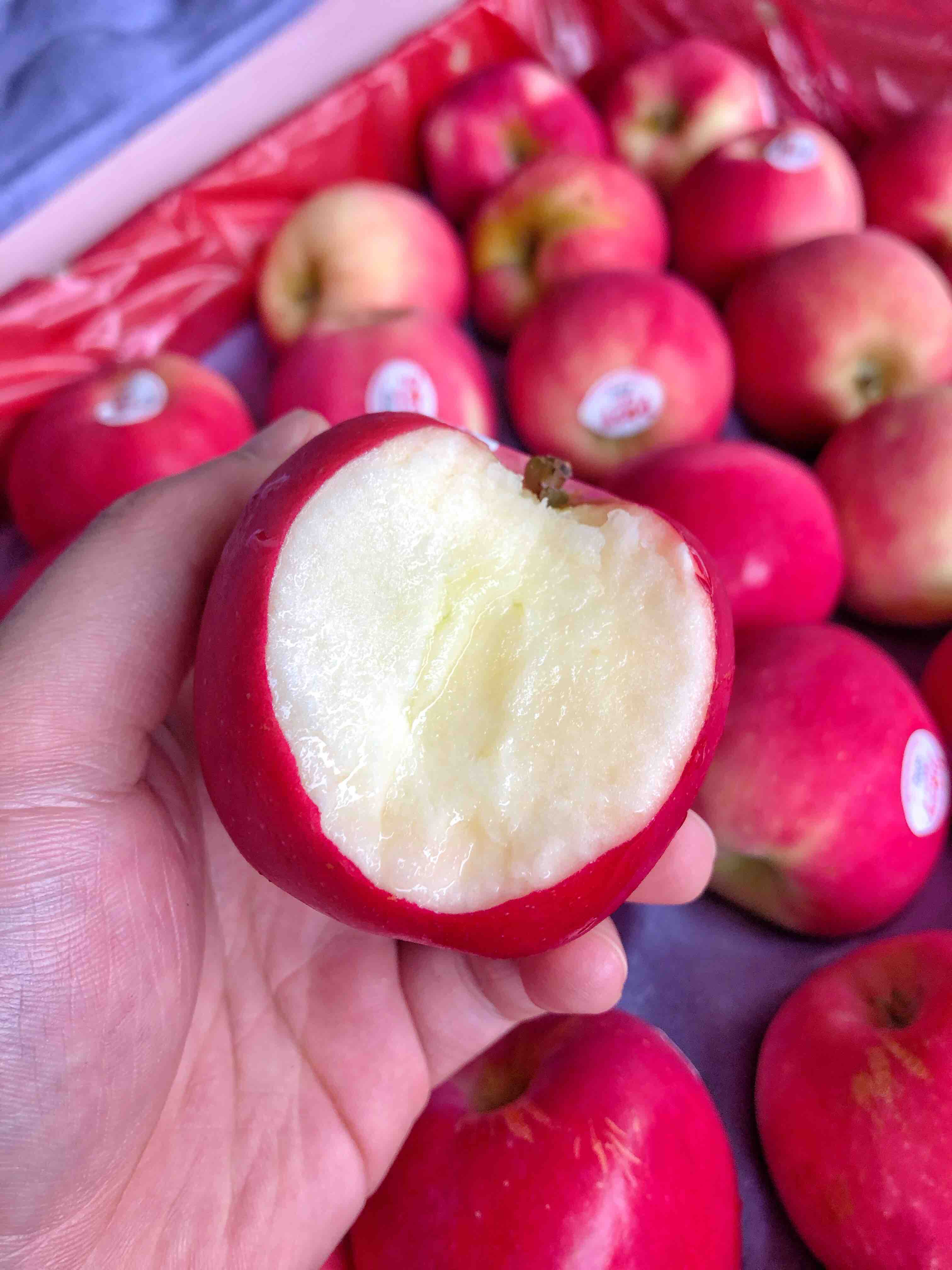 1080韩版小苹果(韩版小苹果现场版高清)-第5张图片-有道翻译官网