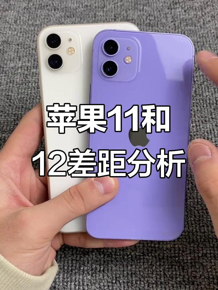 苹果十一简版和不简版(苹果11简版和原版是什么意思)-第2张图片-有道翻译官网