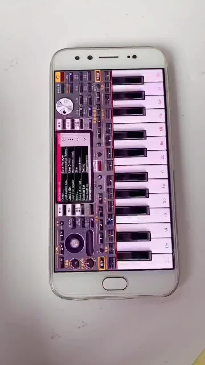 苹果版电子琴软件手机版(苹果手机电子琴下载安装到手机)-第6张图片-有道翻译官网