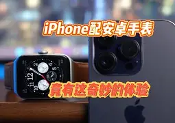 安卓版依依苹果版叫啥(011btv依依下载苹果)-第5张图片-有道翻译官网