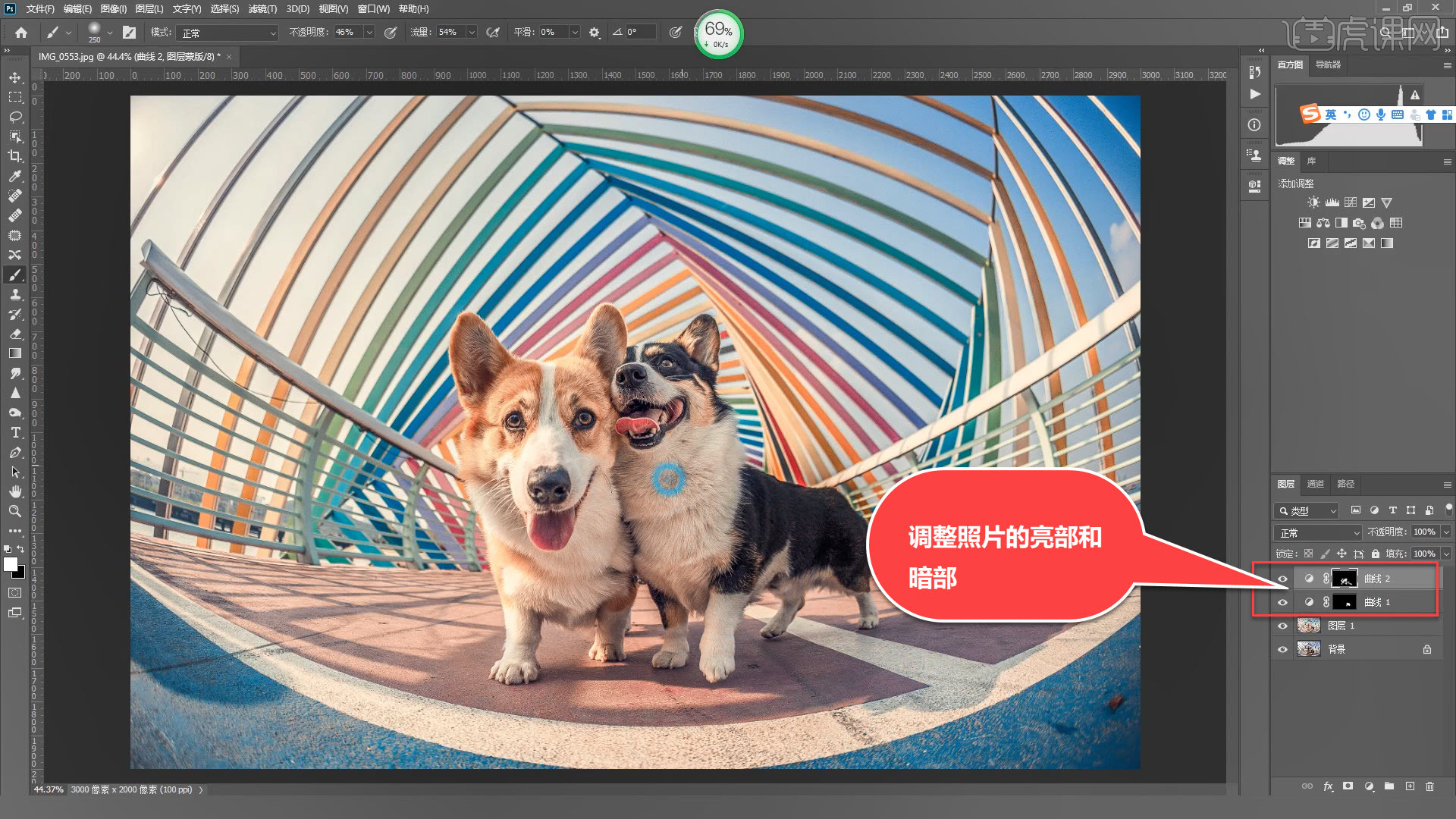 宠物调色教程苹果版(宠物调色教程苹果版下载)-第5张图片-有道翻译官网 宠物调色教程苹果版(宠物调色教程苹果版下载)-第5张图片-有道翻译官网