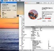 怎么检查苹果国版和韩版(苹果机怎么分辨国行美版韩版日版)-第15张图片-有道翻译官网