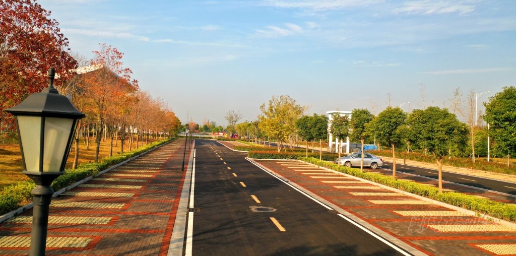 云上郸城苹果版(云上内乡苹果版)-第29张图片-有道翻译官网 云上郸城苹果版(云上内乡苹果版)-第29张图片-有道翻译官网