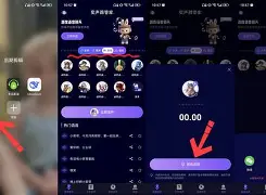 青果变声器破解版苹果版(实时变声器苹果版)-第46张图片-有道翻译官网