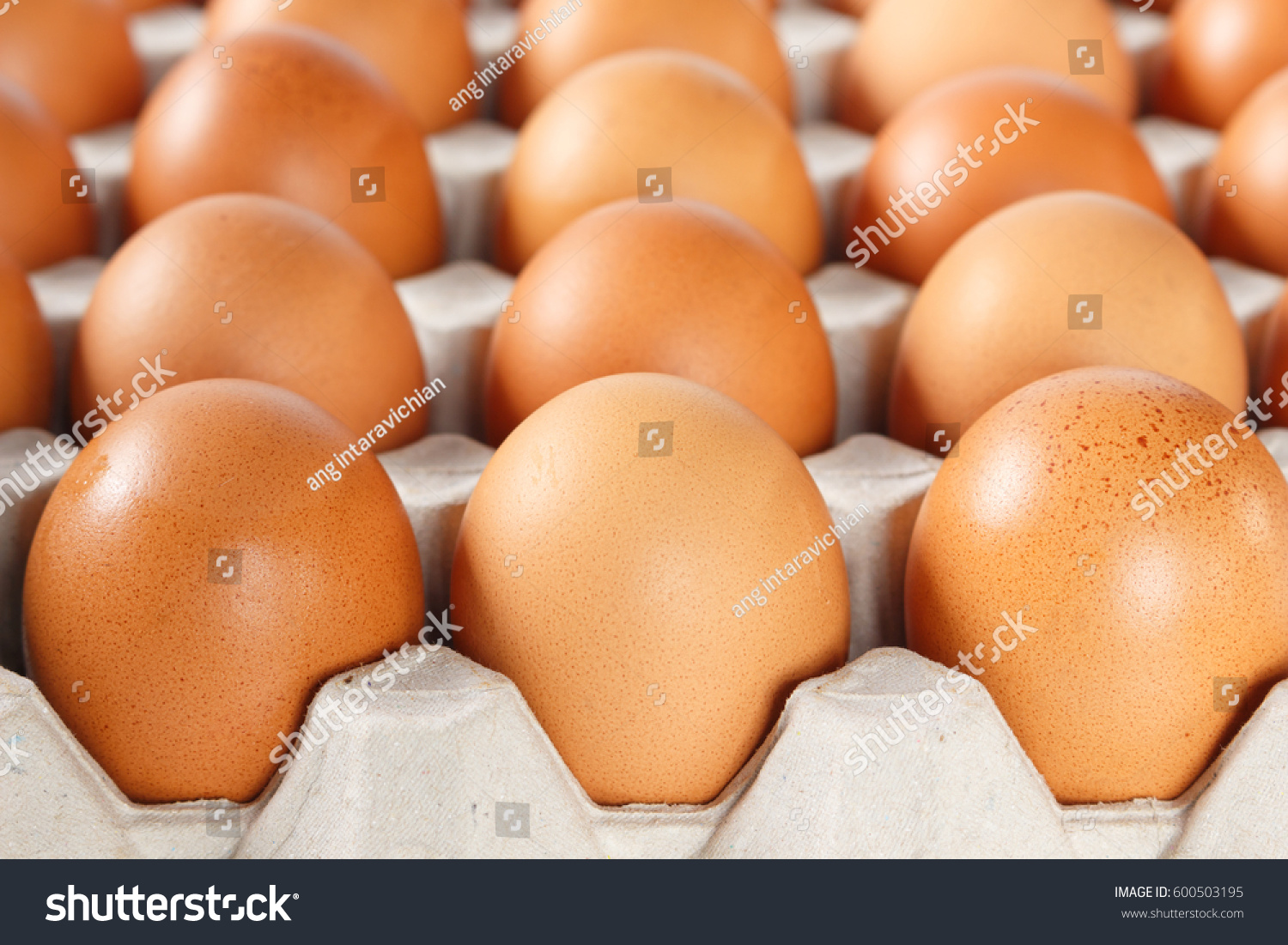 ps蒙版苹果鸡蛋(怎么用ps做蒙版效果)-第5张图片-有道翻译官网