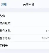 苹果t版和s版怎么区分(t版iphone)-第32张图片-有道翻译官网