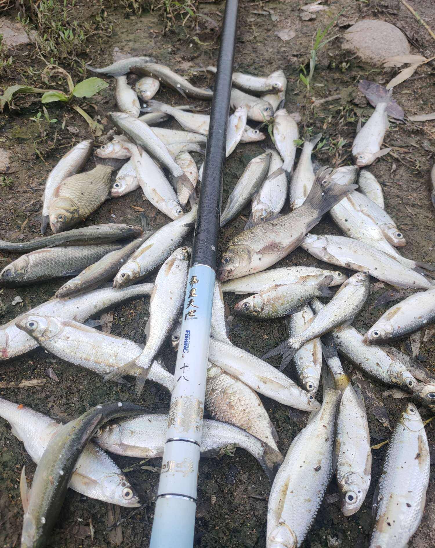 花花白条苹果版(花火app苹果版叫什么)-第33张图片-有道翻译官网