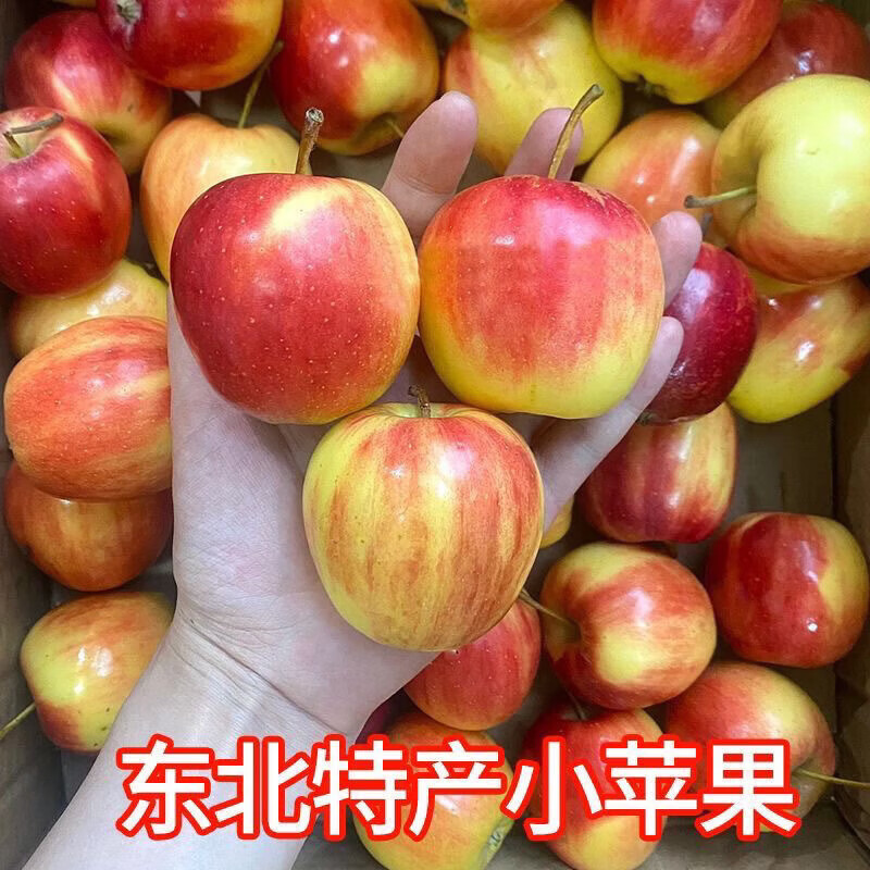 小苹果东北版原唱(小苹果歌曲完整版)-第2张图片-有道翻译官网